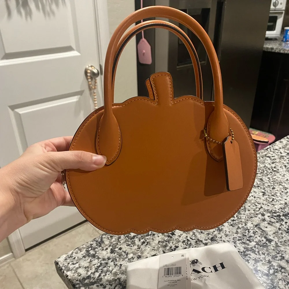 Brand new with tags coach runway pumpkin RARE - Picture 2 of 8